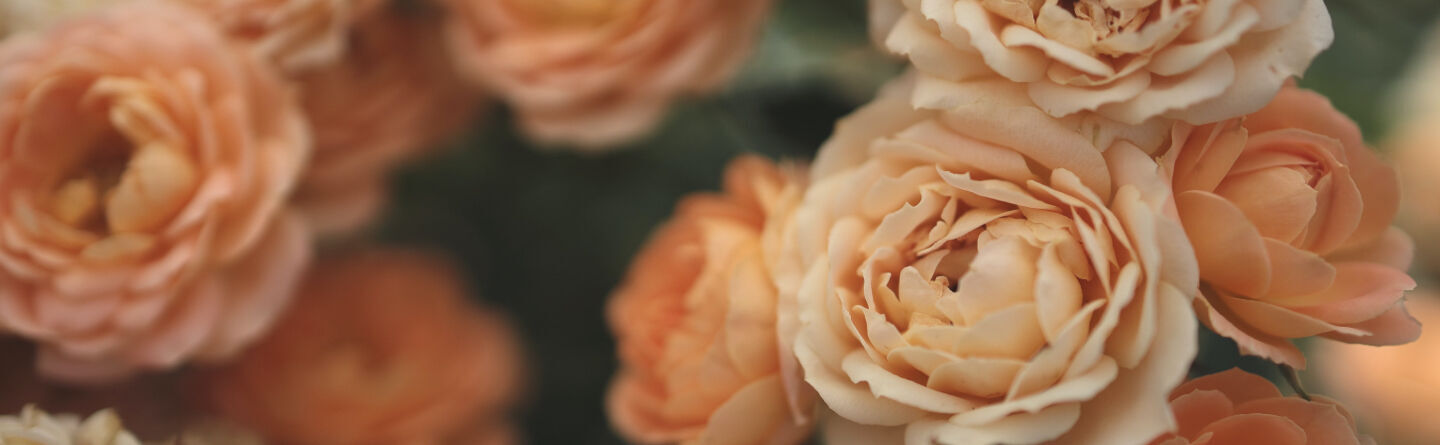 /Magazine/2022/October/Header_1440x445 6.jpg